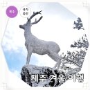 제주 김녕굴 및 만장굴 | 2026 제주 1월 겨울 여행 국가유산 관련 정보