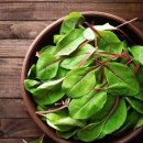 아양농장 이미지