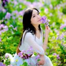 향기4로+향기5로 이미지