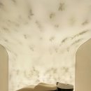 닥터포헤어 케어랩 강남 이미지