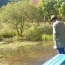 추억속의 재회 이미지