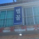 별꼴버섯