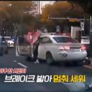 농업회사법인 장성 주식회사 이미지