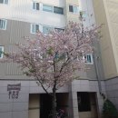 벽산블루밍음악학원