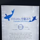 토끼반의 민물고기 생태 학습관🐠 이미지