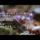 베토벤 - 바이올린 소나타 5번 '봄' 1악장/Mikhail Gantvarg & photo by 김순용 이미지