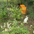 두진농장 이미지