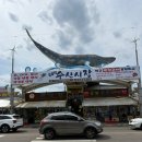 건어물시장 | 아이와 강릉여행코스 주문진수산시장에서 건어물쇼핑 후기