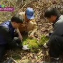 2007년 시산제 SBS 투데이 방영 (산삼 약초 하수오 상황버섯 차가버섯 ) 이미지