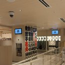 쿠라 | 일본 가마쿠라 도쿄ㅣ긴자 회전 초밥 쿠라스시 웨이팅 후기