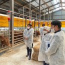 경기도축산진흥센터 이미지