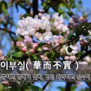 화이부실(華而不實) - 꽃 뿐이고 열매가 없다 이미지