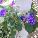 머믄자리 이미지