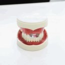 예일의원 이미지