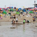 왕산해수욕장 이미지