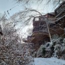 솔숲펜션 이미지