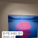 나우로데오 이미지