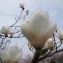 지구촌공인중개사 이미지