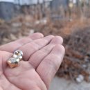 나온치과기공소 이미지