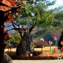 서운동산 이미지