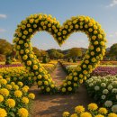 동서로~선화로 이미지