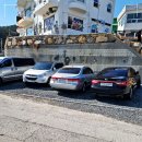 섬문어전복 이미지