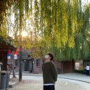 선샤인 | 논산 데이트 코스 추천 선샤인 랜드 방문 후기