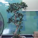 남원당구장 이미지