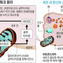 약선당약국 이미지