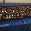 (주)포커스투어 이미지