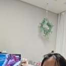 국가대표 태권메이커 태권도장 이미지