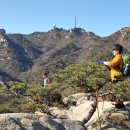 낙성대로 이미지