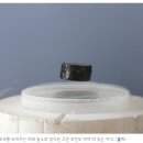 부상초등학교 이미지