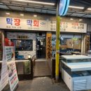 홍스시s 막장막회