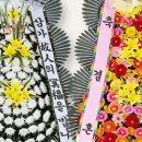 쉼&그린