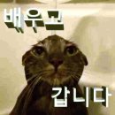 오르비에터 | 05. 난 짓밟히고 더 찢길수록 빛을 낼 테니까