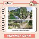 매교황금알공인중개사사무소 이미지