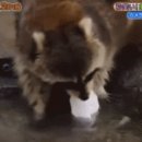 모퉁이주방 이미지