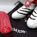 엡솔루트 이미지