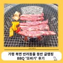 경기도 가평 북면 애견 반려동물 반려견 동반_독채 스파 글램핑 펜션 &#39;또바기&#39;_반려견 수영장_가격_후기