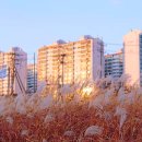 명천교 이미지
