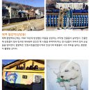 (출발확정) 벽화따라 걷는 순백의 겨울 낭만여행 -태백, 정선, 영월 2016년 1월 2일 ~ 3일 1박 2일 이미지