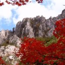 곱 - 영등포구 당산로 34 | 곱