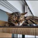 메트로재활의학과의원 이미지