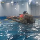 아이엠 키즈 스윔스쿨 | 아이엠 키즈 스윔스쿨에서 빛난 성장의 기록