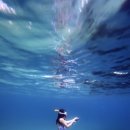 부채길펜션 이미지