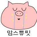 지수네 민박 이미지