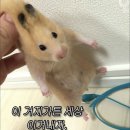 마석로1 | 🍰 건강한 남양주 케이크 맛집, 낟알 솔직후기 🍂