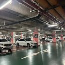 유통단지 NC아울렛 앞 | [대구 웨딩] 엘파소하우스웨딩 야외홀 하객 후기 (주차, 뷔페, 웨딩홀)