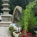 삼성사 Daum카페